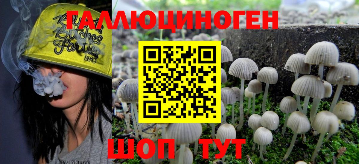 Псилоцибиновые грибы Magic Shrooms Краснокаменск